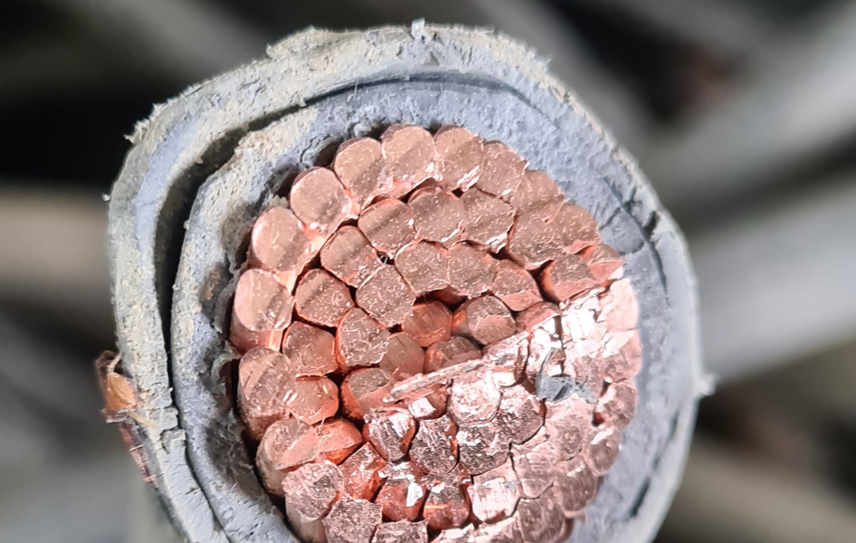 20200924_122120 20200924_122120